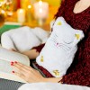 Θερμοφόρα Πλενόμενη  Με Κάλυμμα Ζωάκι Γατάκι Hot Watter Bottle Hotly Cat Pylones Δώρα για Άνδρες